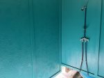 Downstairs Shower Privacy w Partition